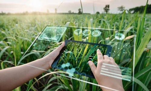 Use of emerging technologies in agriculture. Pic only for illustration.